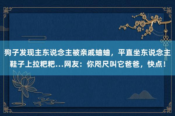 狗子发现主东说念主被亲戚蛐蛐，平直坐东说念主鞋子上拉粑粑…网友：你咫尺叫它爸爸，快点！